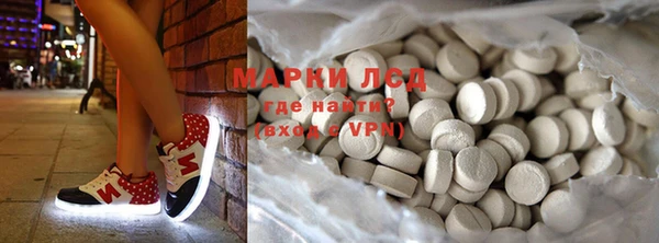 шишки Няндома