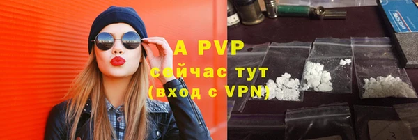 шишки Няндома