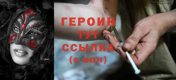 шишки Няндома