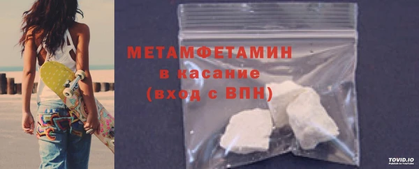 шишки Няндома