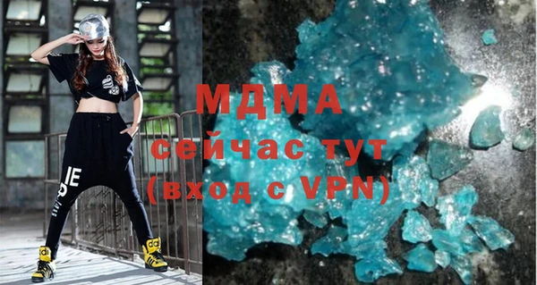 шишки Няндома