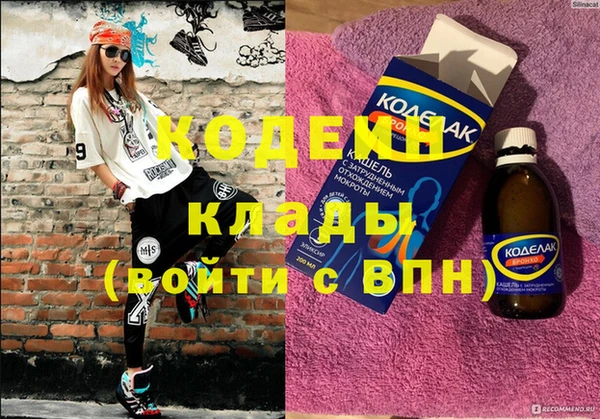 шишки Няндома