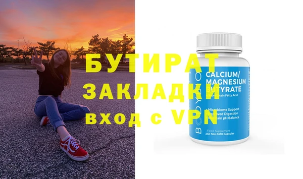 шишки Няндома