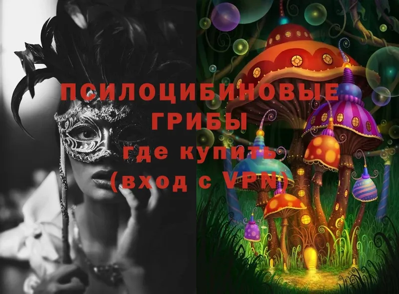 Псилоцибиновые грибы Cubensis  Кукмор 