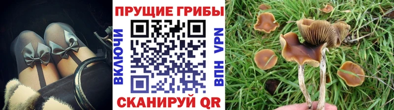ссылка на мегу ONION  наркотики  Кукмор  Галлюциногенные грибы мицелий 